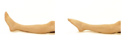 image-10 | Glenferrie Sports and Spinal Clinic