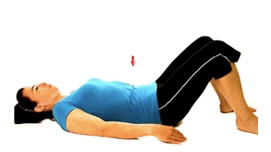 glenferriessc lower back excercise | Glenferrie Sports and Spinal Clinic glenferriessc lower back excercise